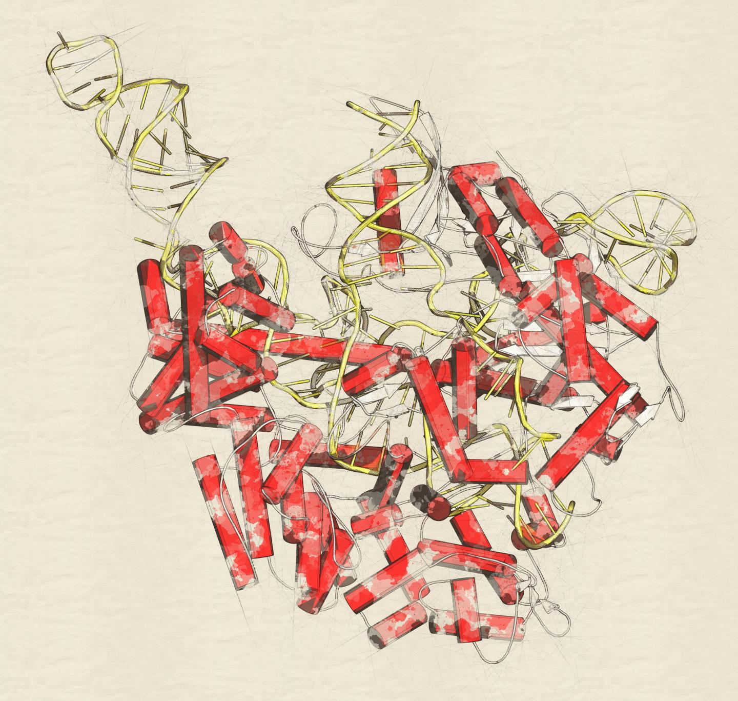 CRISPR-CAS9 gene editing complex, illustration