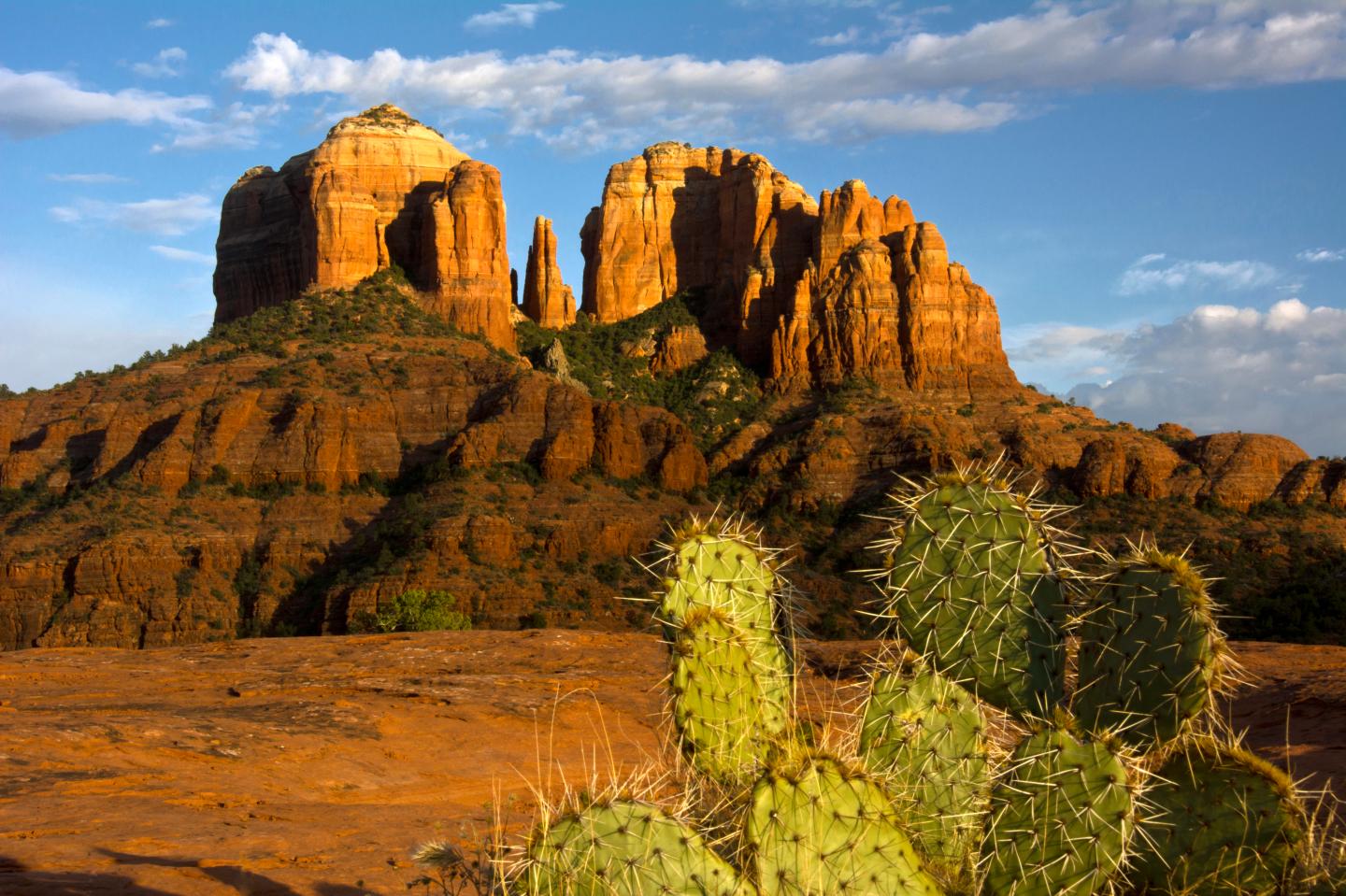 Cathedral Rock at Sunset, Prickly Pear Cactus in Foreground, Sedona, Arizona, USA