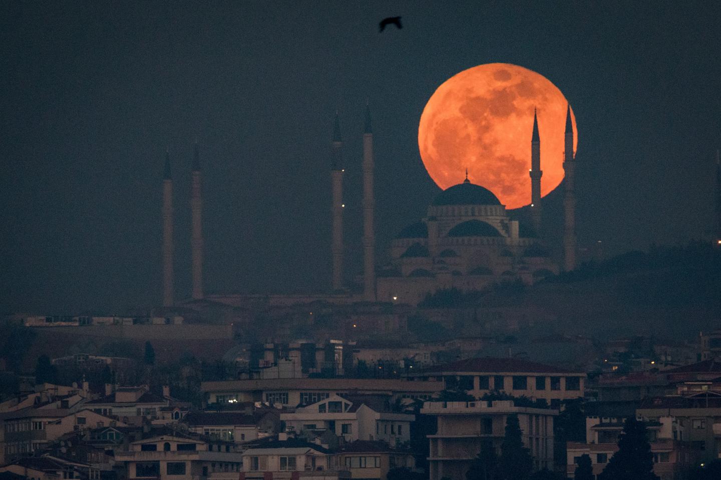 Super Blue Blood Moon 2018