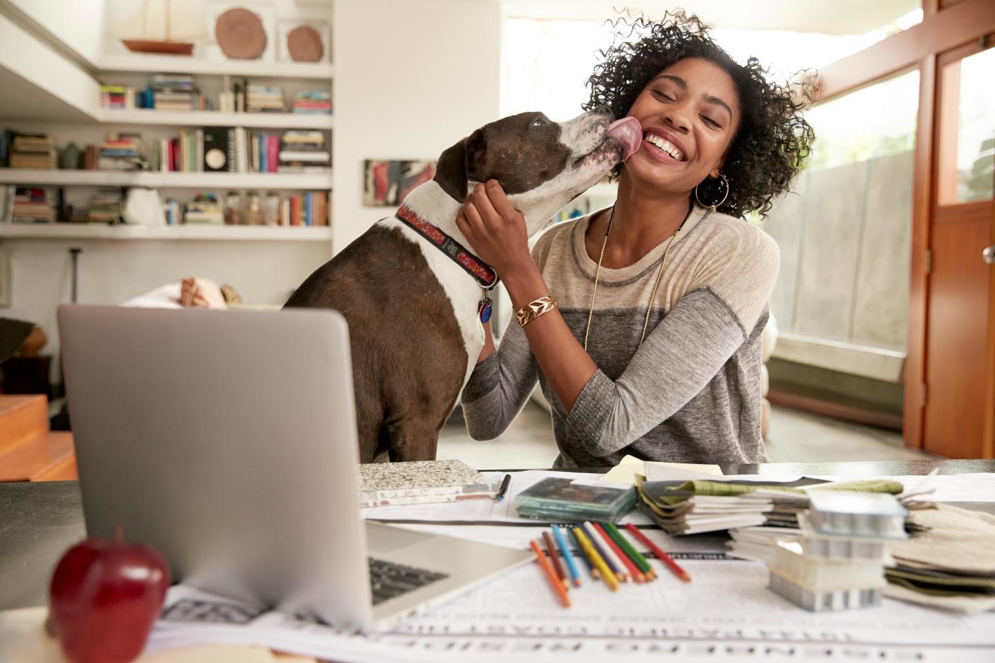 Dog licking face of female interior designer working at home office desk