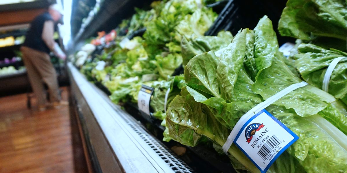 E. Coli Outbreak in Romaine Lettuce May Be Ending: CDC | Fortune