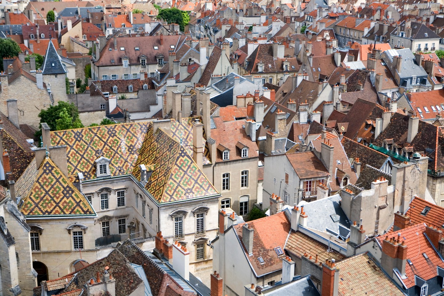 Rooftops of Dijon.