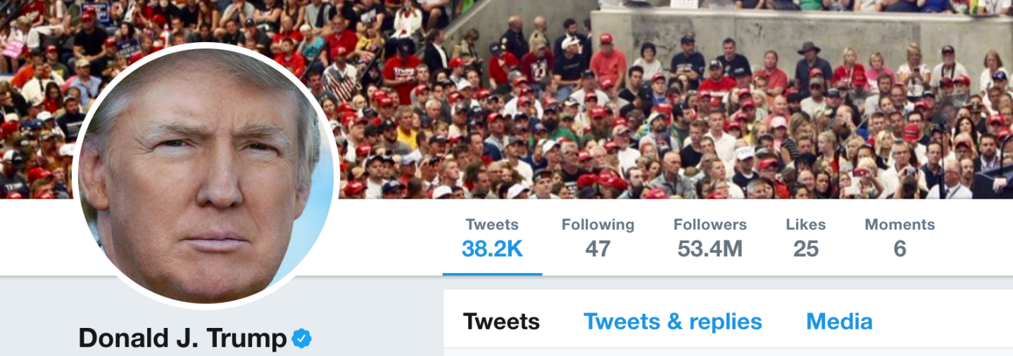 Trump's Twitter following July 11