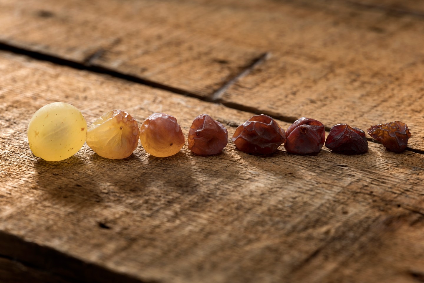 Tokaji esszencia-dried grapes
