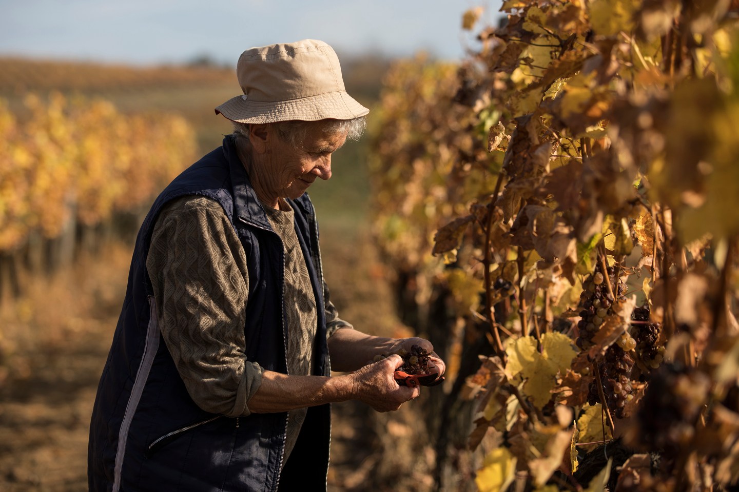 Tokaji esszencia-labor