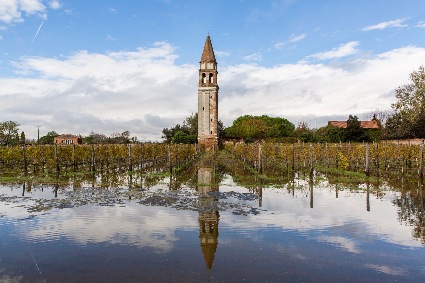 Venissa-Winery