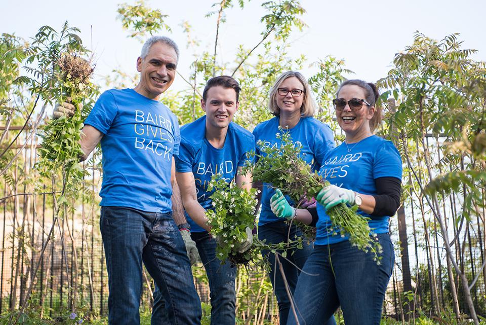 Baird-best workplaces chicago 2019