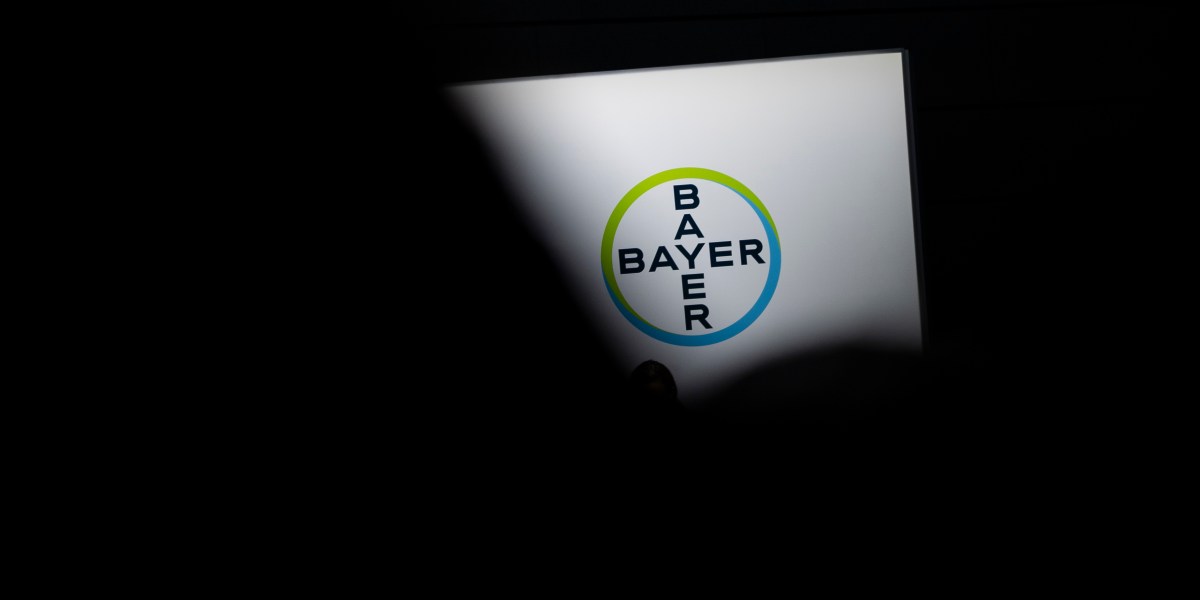 Bayer Stock Has Now Lost 44 of Value Since the Monsanto Deal Fortune