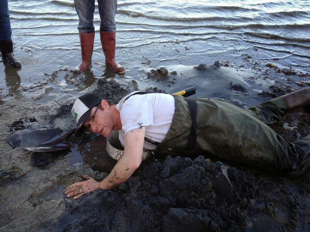 Sea Forager-California Sustainable Seafood