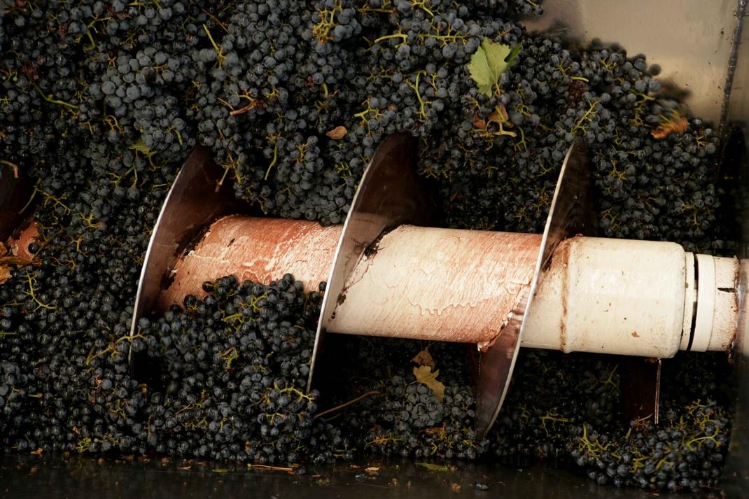 Winemaking-Process-winemaking, process, Nederburg