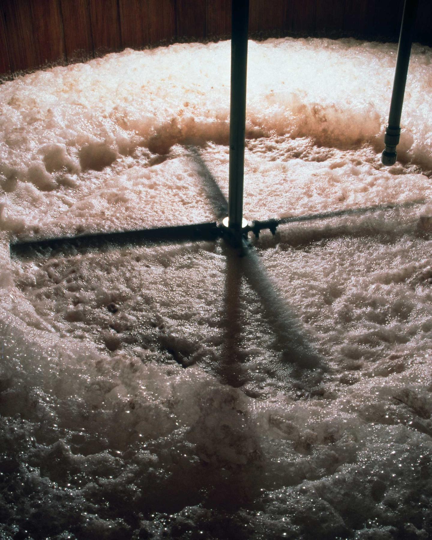 Yamazaki-fermentation-web