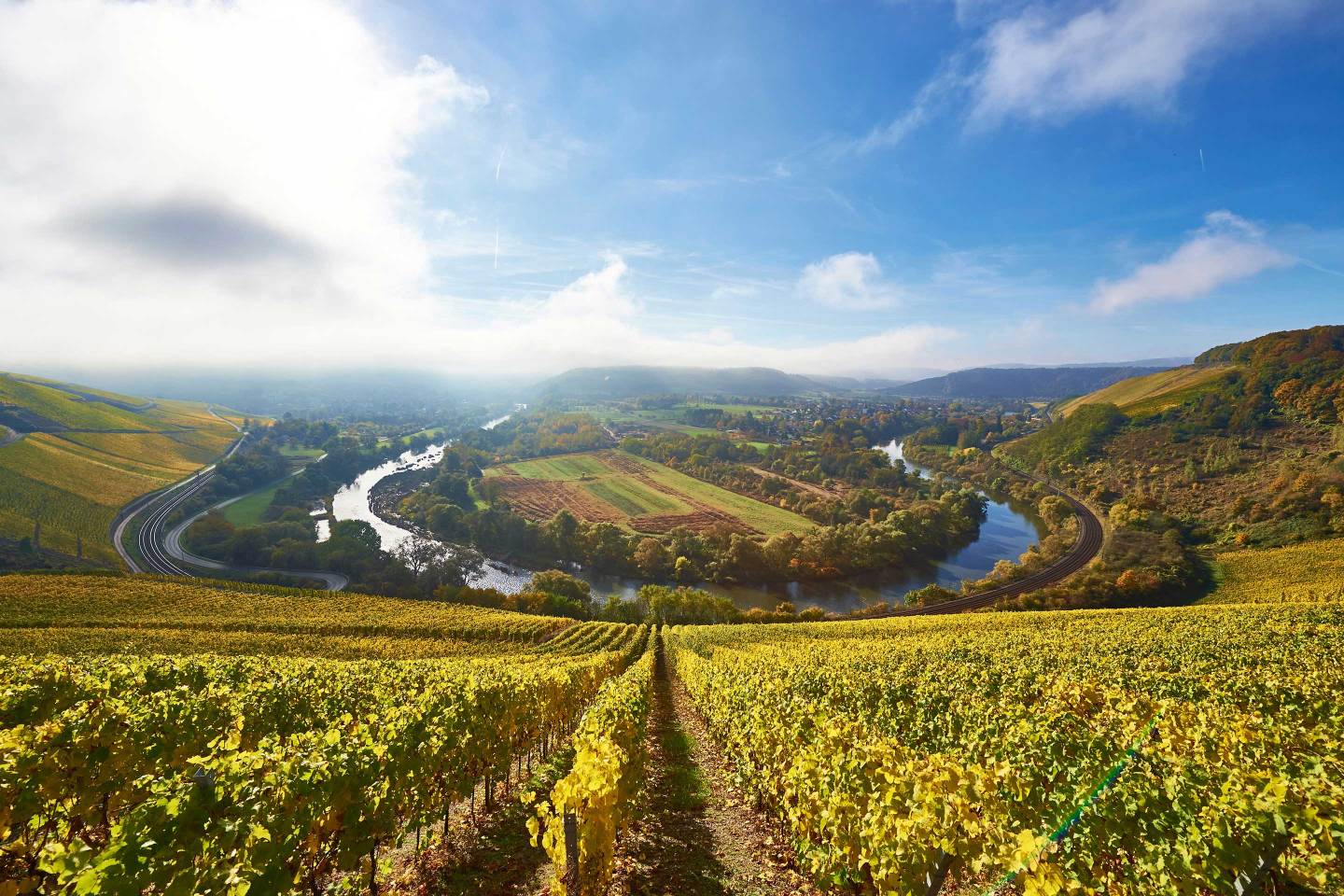 German-Wine-Van Volxem-Vineyard