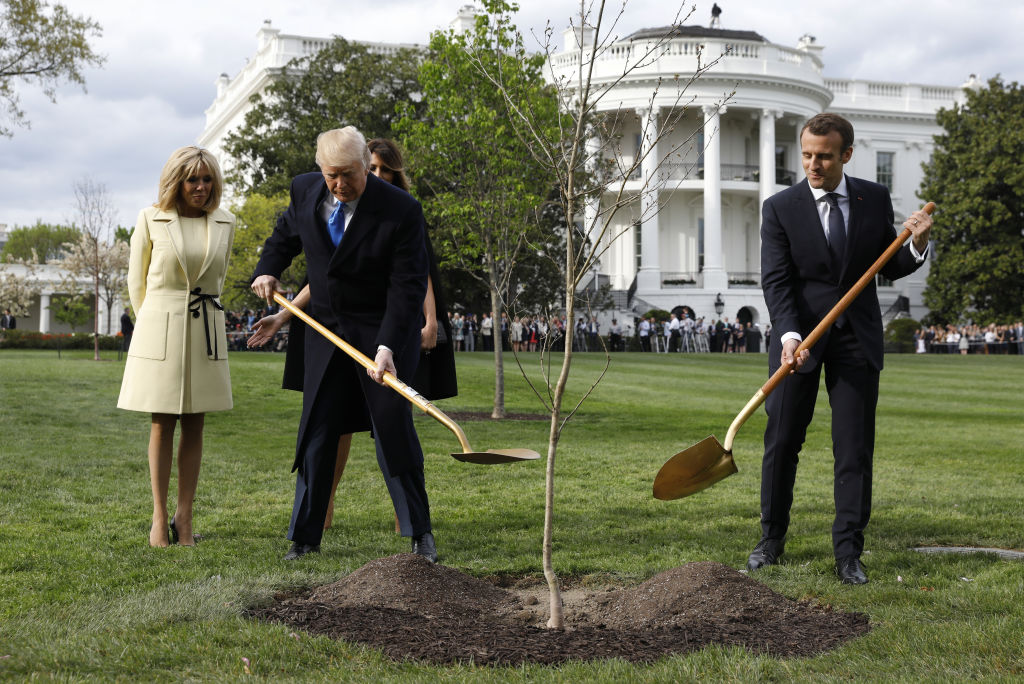 Trump and Macron plant a friendship tree