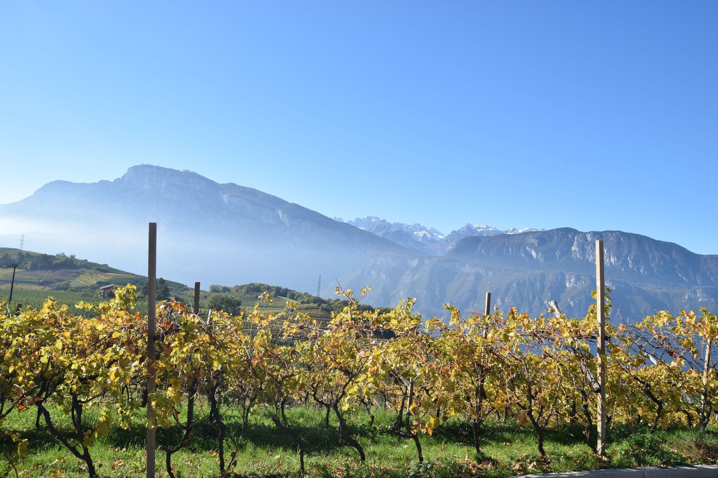 Trentodoc-Cambra-Valley
