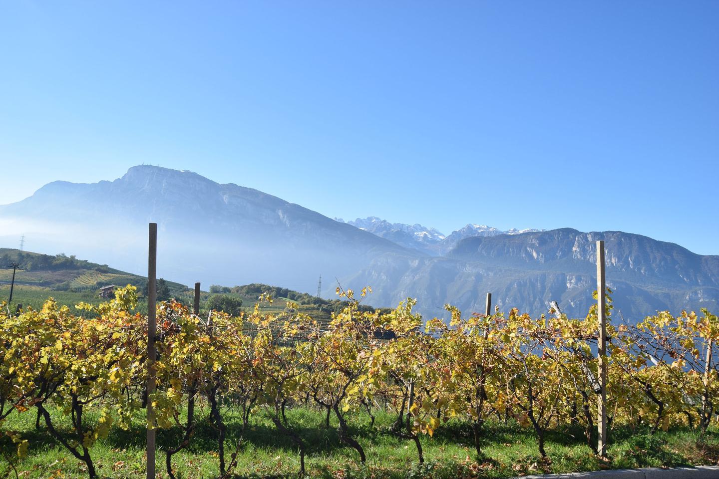 Trentodoc-Cambra-Valley