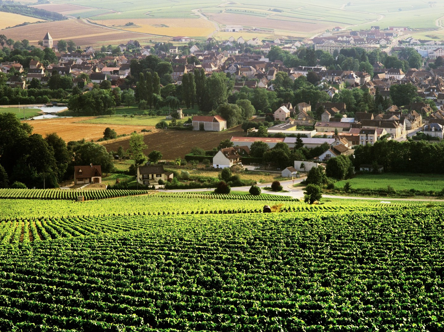 chablis-village-and-vineyards-burgundy-france