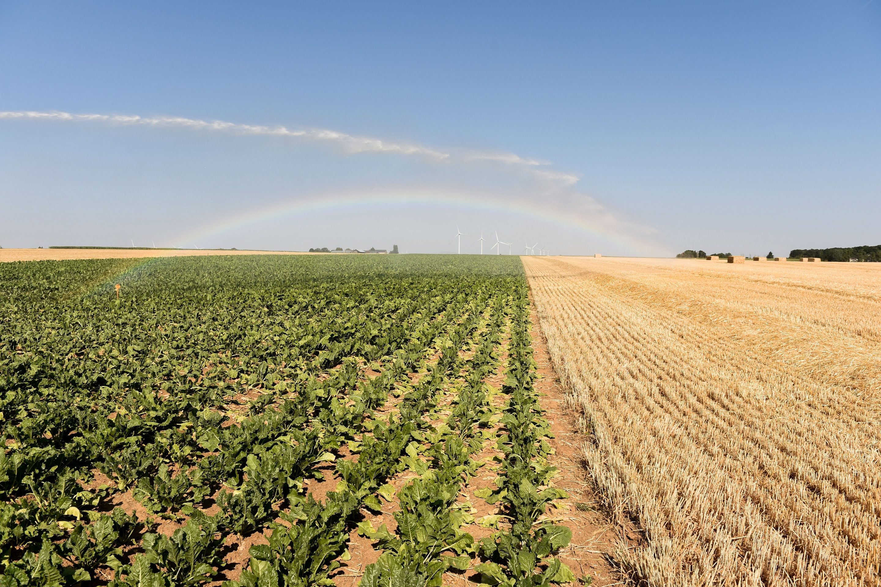 Fields hit by drought are watered on July 23, 2019, in Guigneville, centre France.