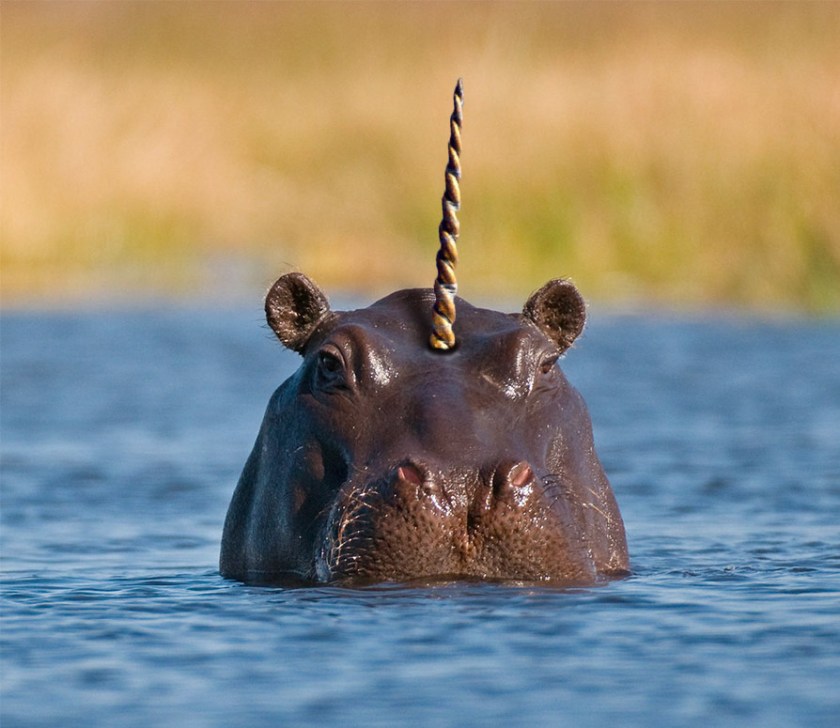 Hippo Renters Insurance / Spinnaker Insurance Company