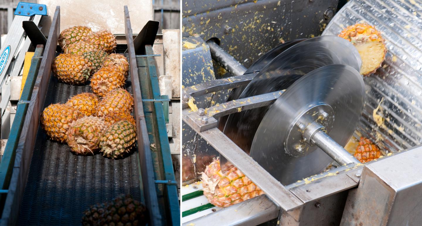 Fruit Wine-Maui Wine-Pineapples