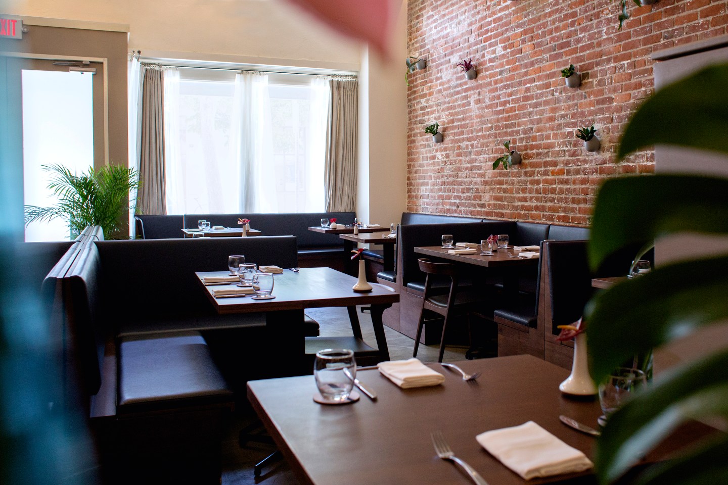 Honolulu Restaurant-SENIA- Interior-Ryan Yamamoto - Middle Management