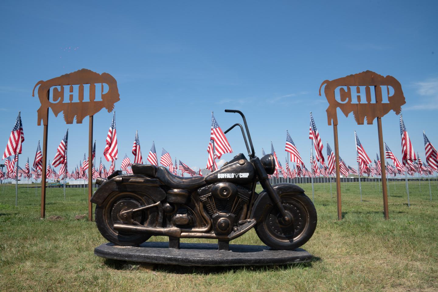 Sturgis Motorcycle Rally-buffalo chip