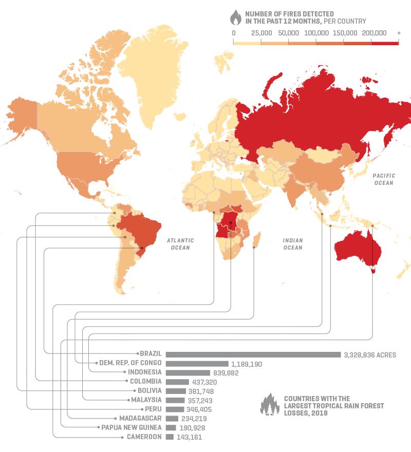 Map of forest fires