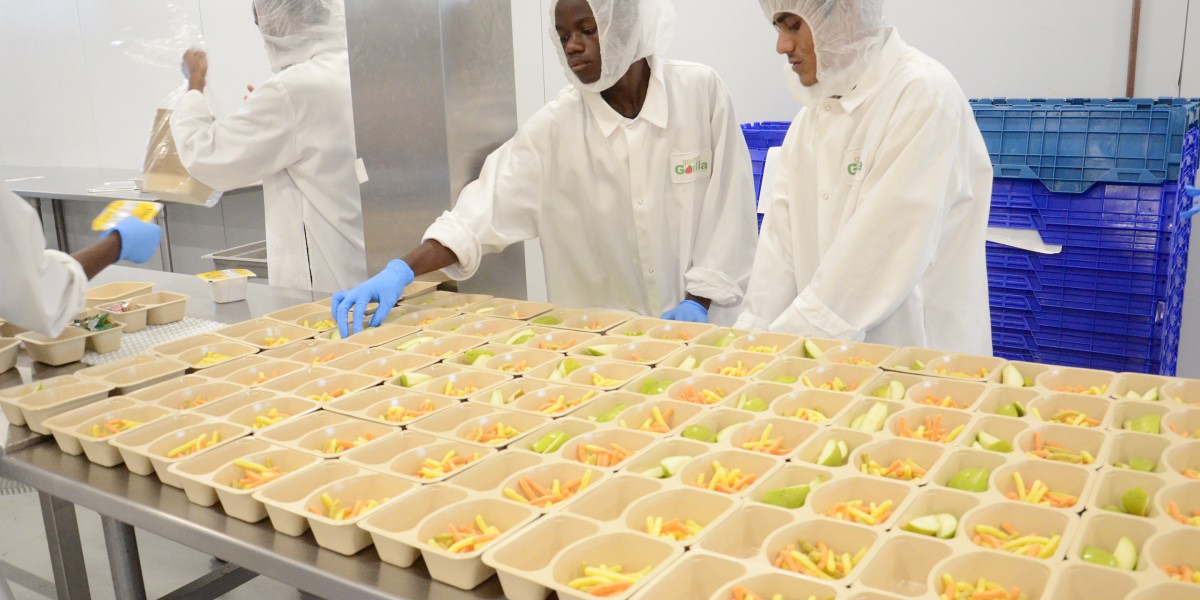 Gourmet Gorilla Fortune