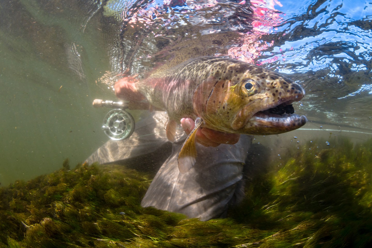 PAS11.19-Fly-Fishing-Russia_03