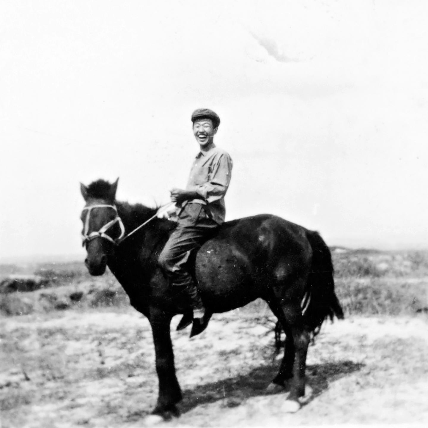 WEI.1219. Weijian Shan Horse