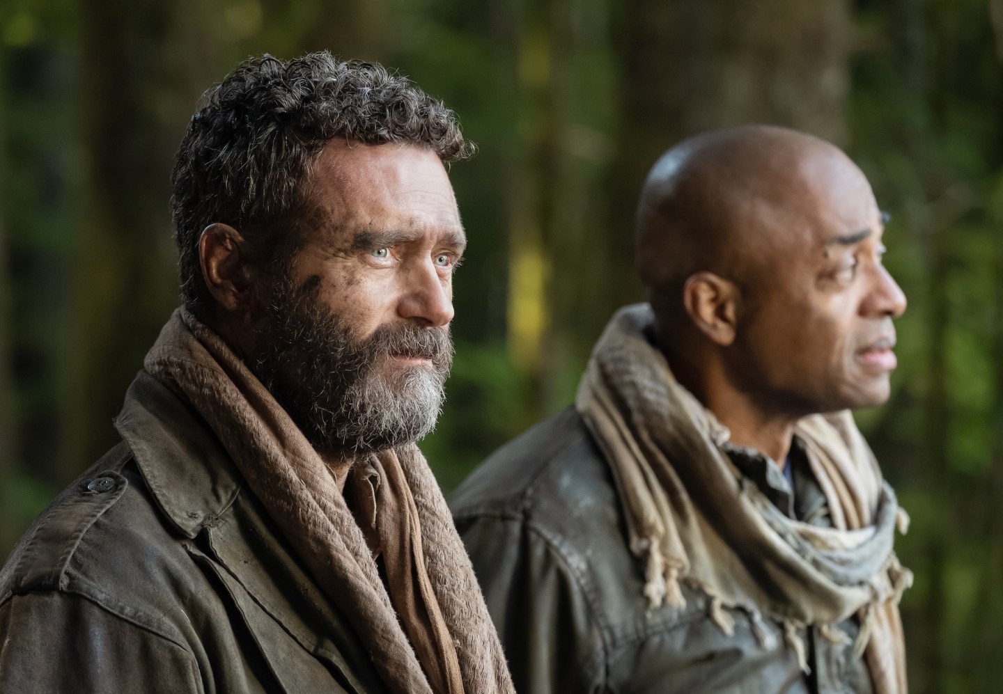 Man in the High Castle