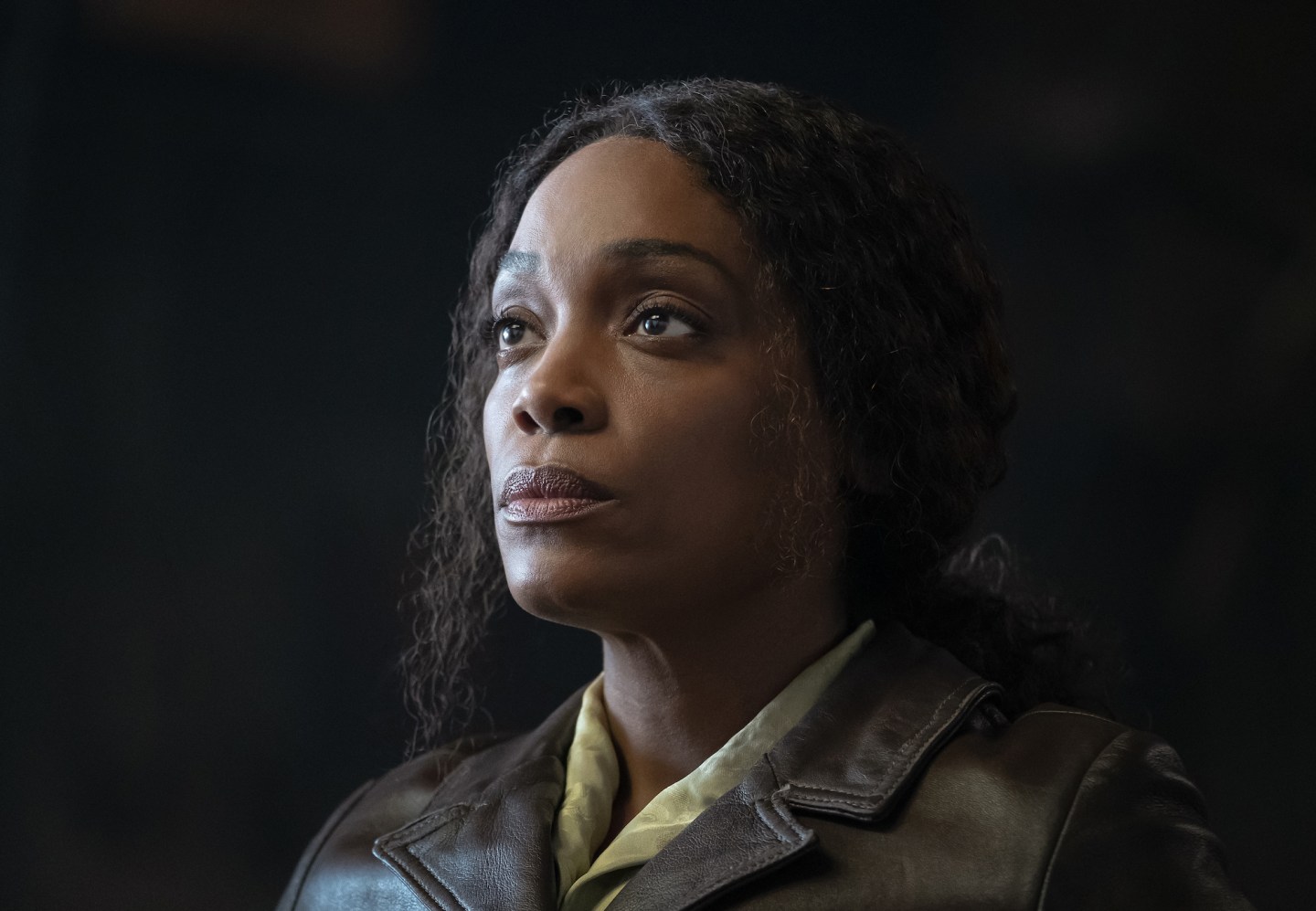 The Man in the High Castle