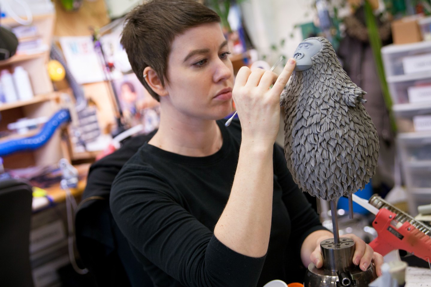 Missing Link Behind the Scenes