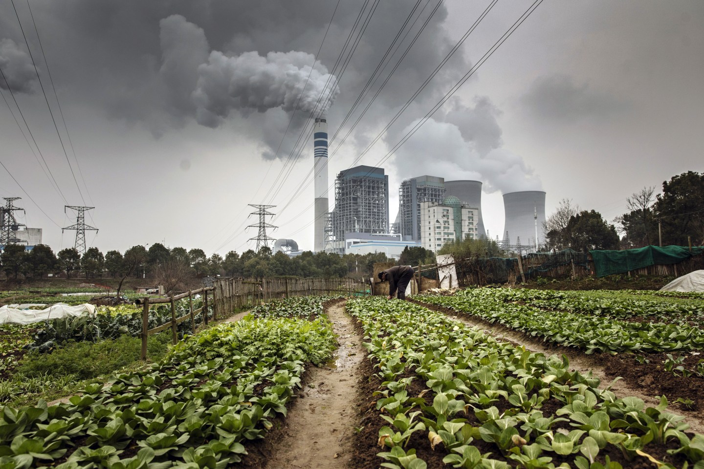 Bloomberg Best of the Year 2019: A man tends to vegetables in a field as emissions rise from nearby cooling towers of a coal-fired power station in Tongling, Anhui province, China, on Wednesday, Jan. 16, 2019. Photographer: Qilai Shen/Bloomberg via Getty Images