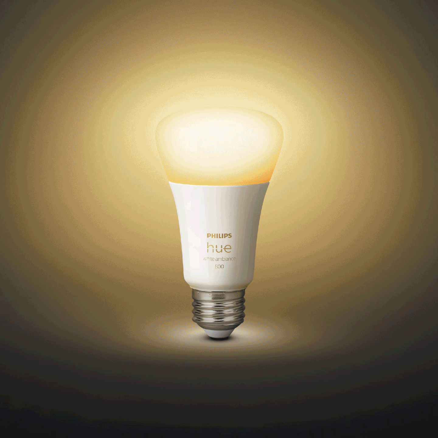 DES.021.Philips Hue Lighting