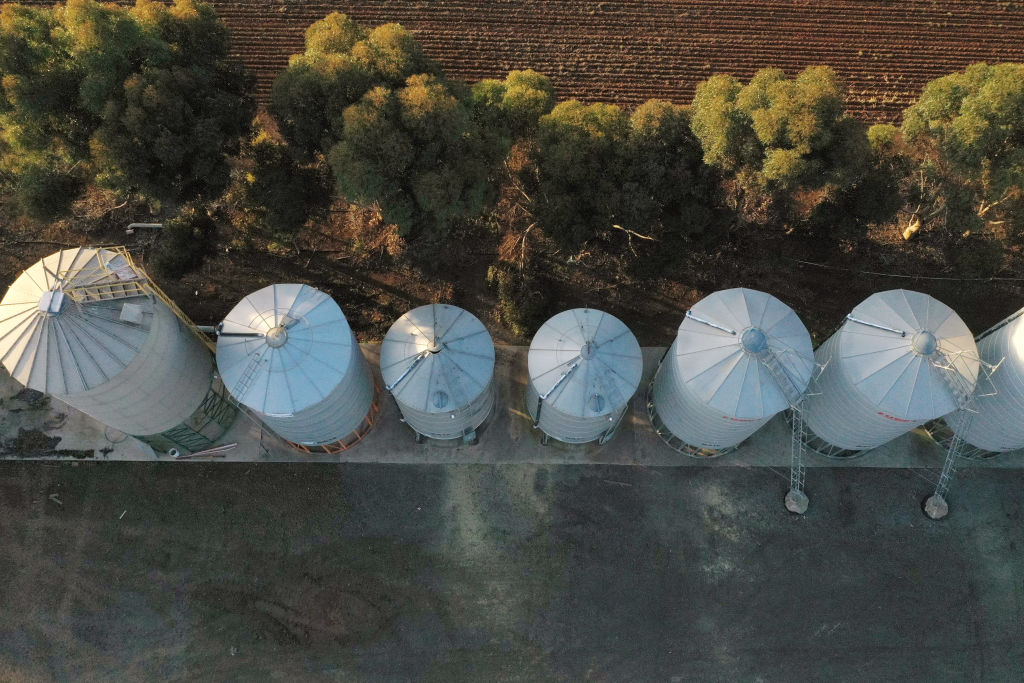 Sowing of Barley in Victoria As China Slaps Duties on Australia's Crop