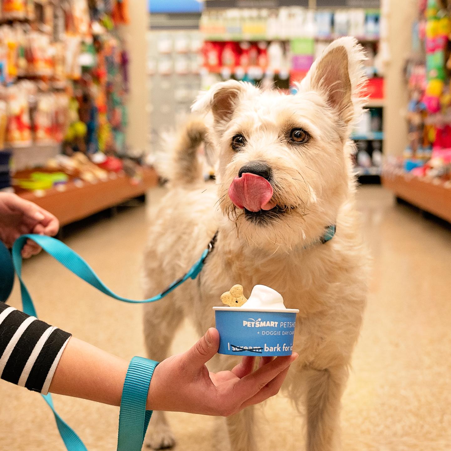 PET.07.20.PetSmart
