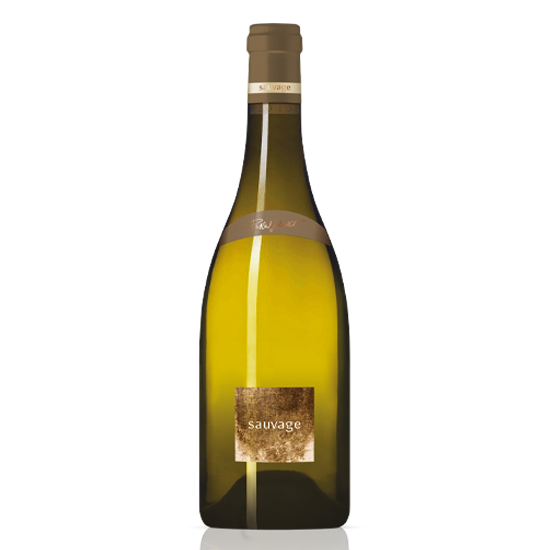 07132020-Wine-Pascal Jolive Sancrre Sauvage Blanc