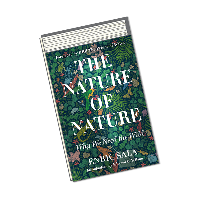 August Books-Nature of Nature