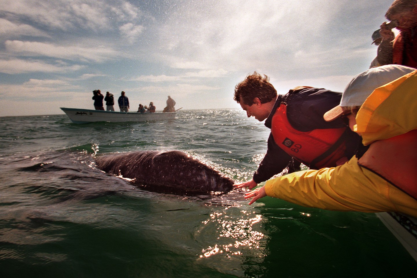 Boycotts before hashtags