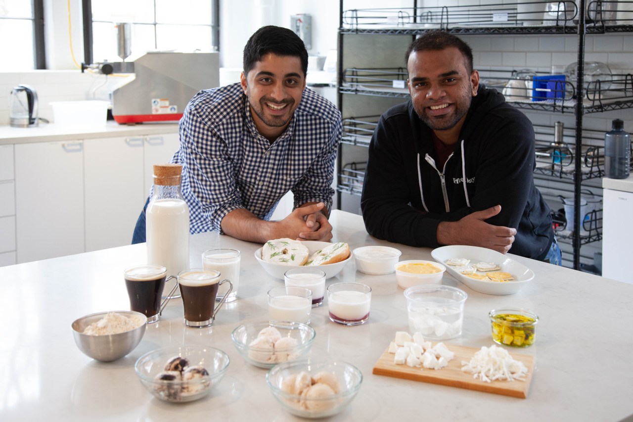 Startup Perfect Day raises $300 million to make animal-free dairy | Fortune