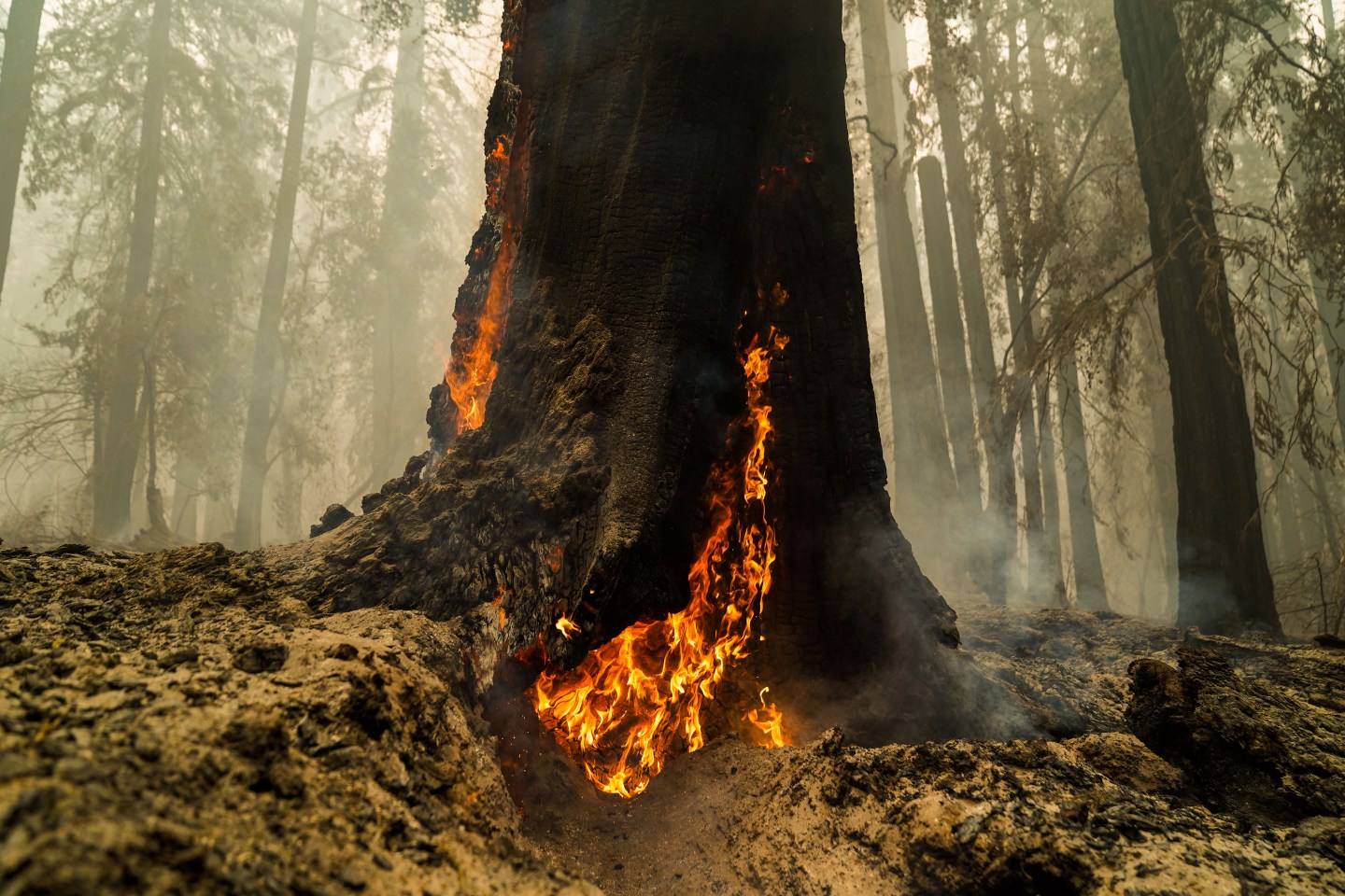 CA Fires 2020