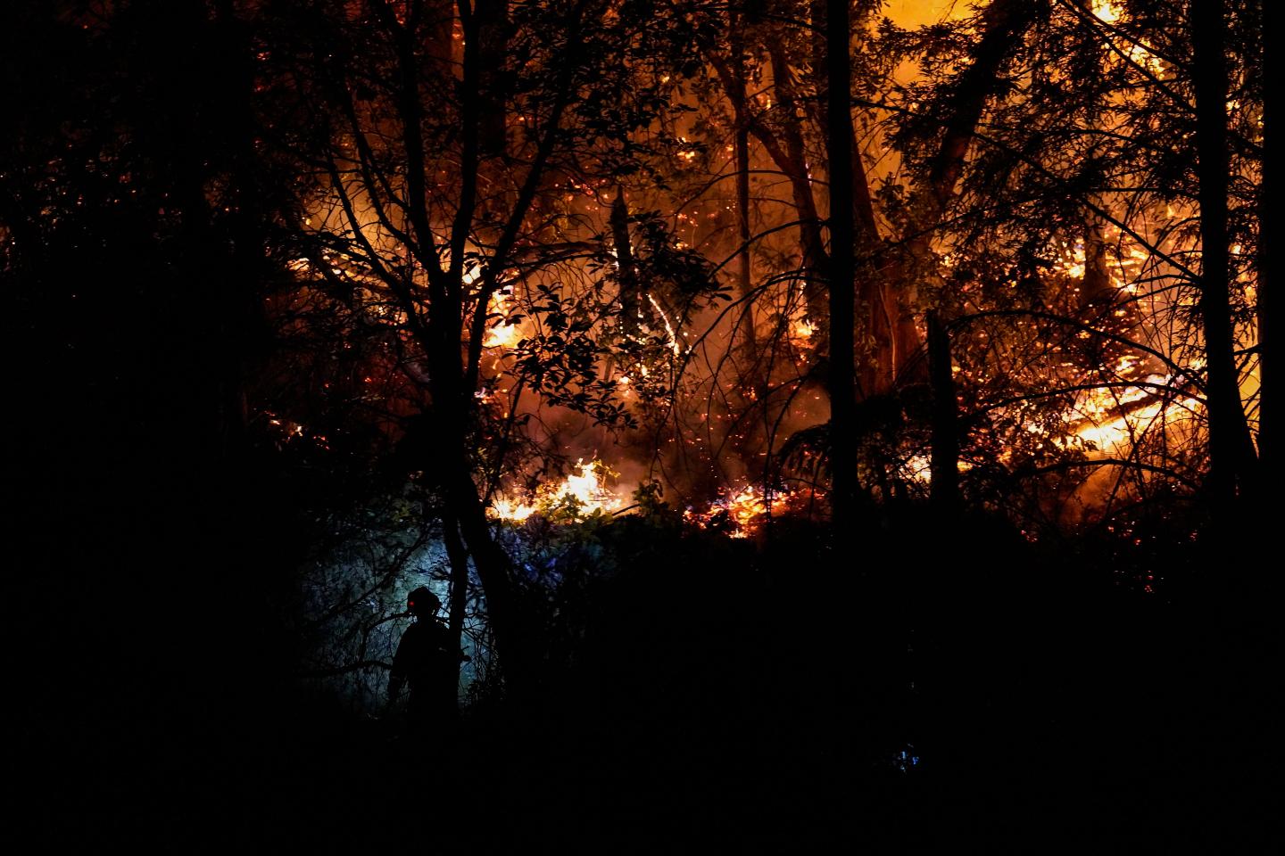 CA Fires 2020