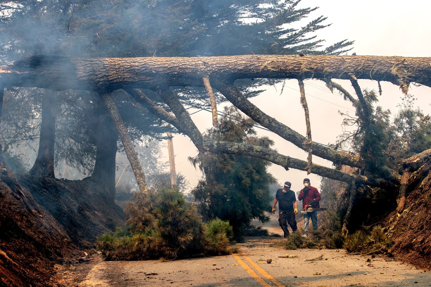 CA Fires 2020