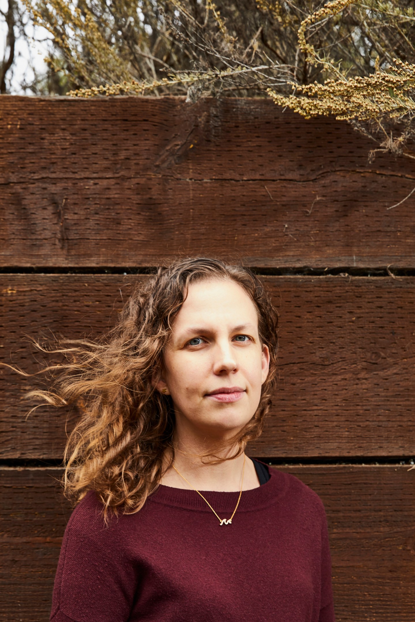 What makes artificial intelligence look dumb?