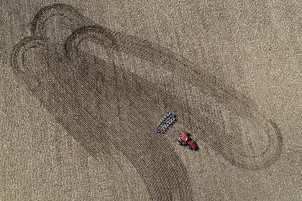 Corn And Soy Fields Ahead Of USDA WASDE Report