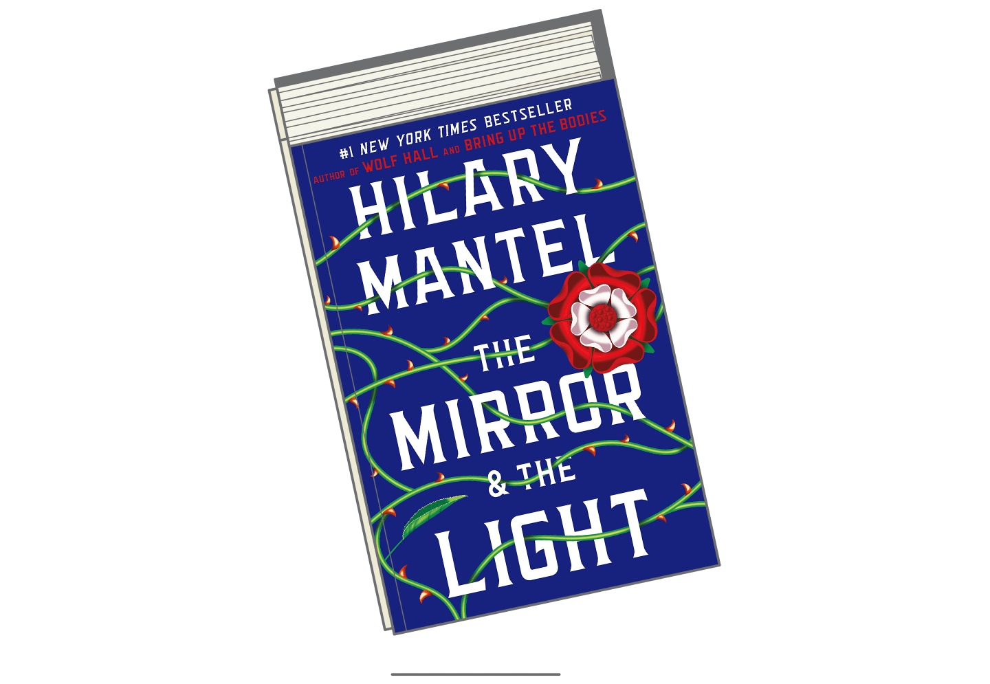 Best Books 2020-Mirror-and-the-Light