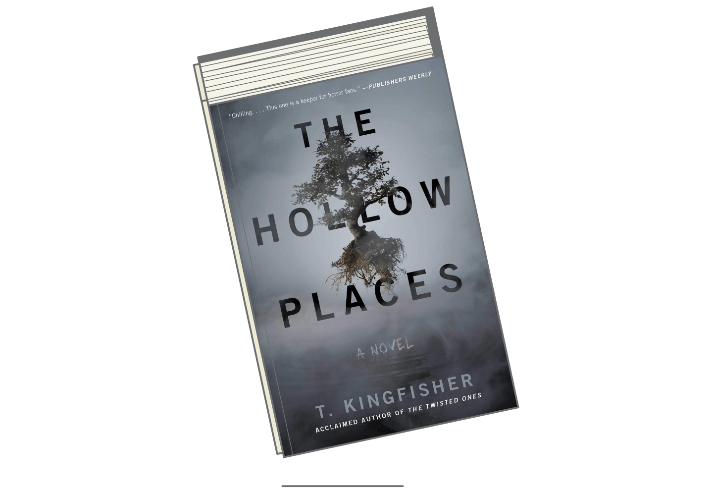 Best Books 2020-The Hollow Places