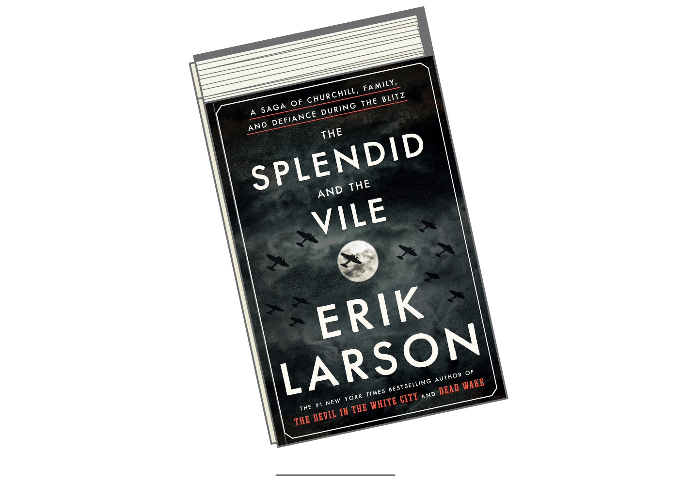 Best Books 2020-The-Splendid-and-the-Vile