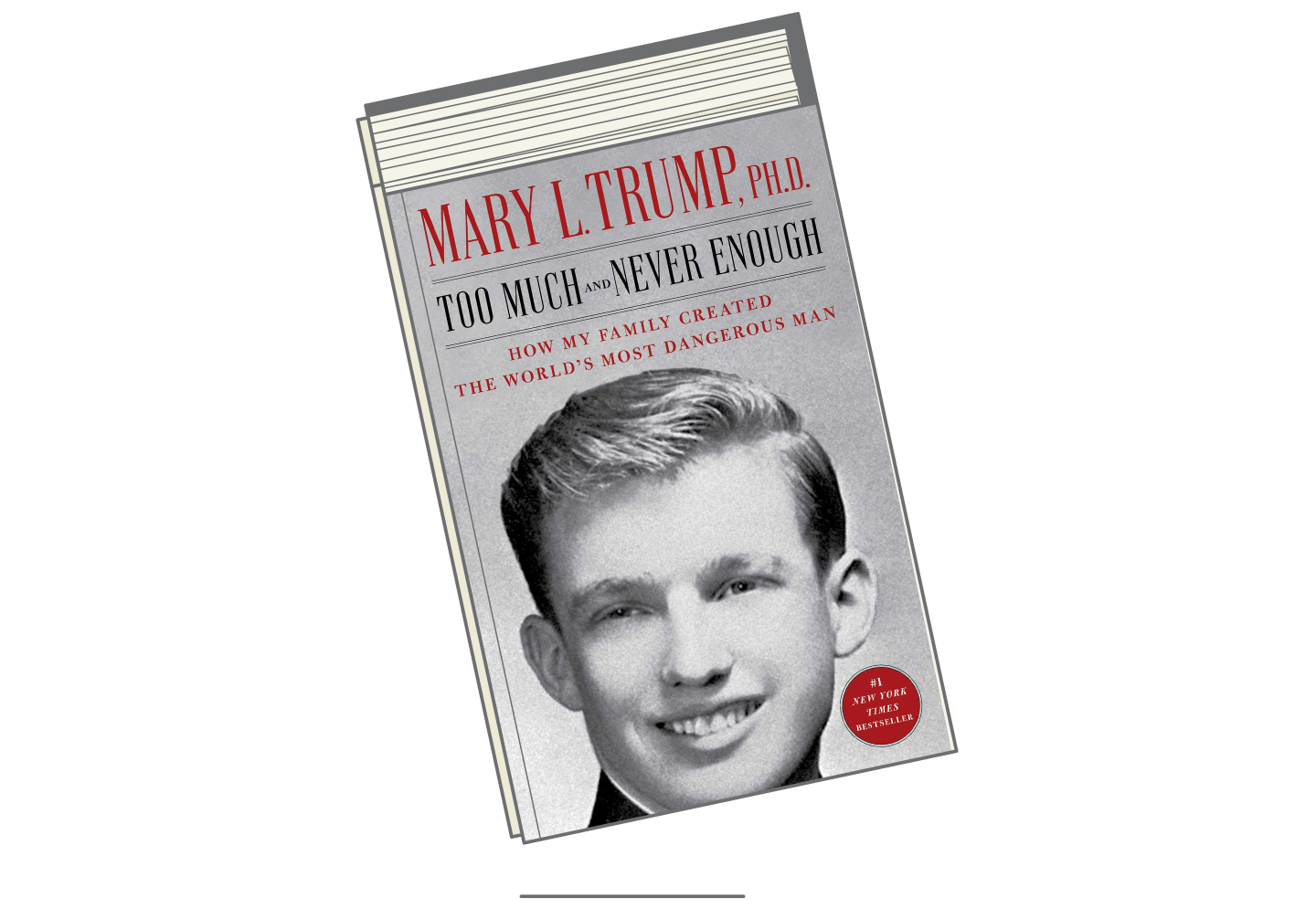 Best Books 2020-Too-Much-and-Never-Enough
