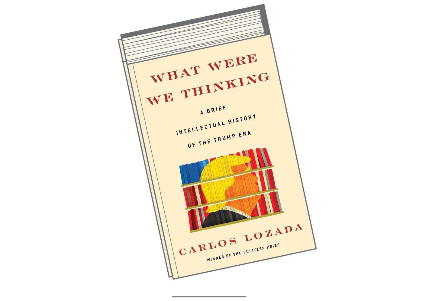 Best Books 2020-what-were-we-thinking